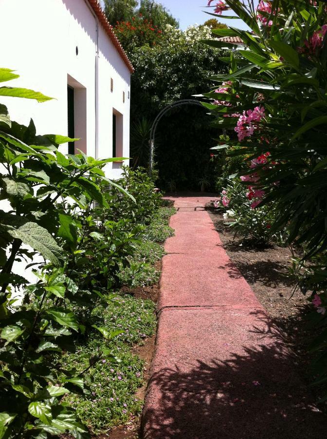 Bungalow La Datura El Paso Bagian luar foto
